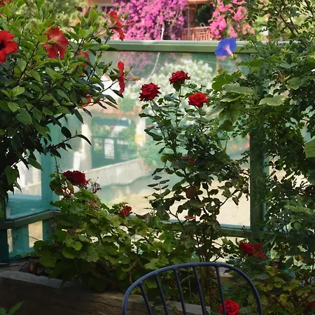Bellevue Apartment *